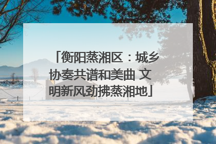 衡阳蒸湘区：城乡协奏共谱和美曲 文明新风劲拂蒸湘地