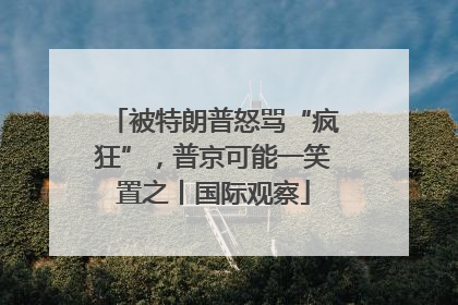 被特朗普怒骂“疯狂”，普京可能一笑置之丨国际观察