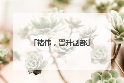 褚伟，晋升副部