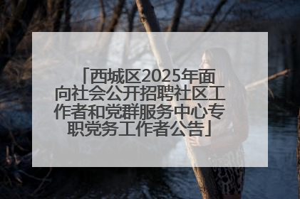 西城区2025年面向社会公开招聘社区工作者和党群服务中心专职党务工作者公告