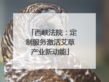 西峡法院：定制服务激活艾草产业新动能
