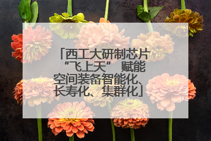 西工大研制芯片“飞上天” 赋能空间装备智能化、长寿化、集群化