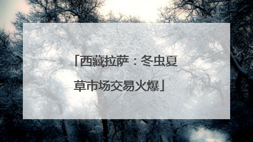 西藏拉萨：冬虫夏草市场交易火爆