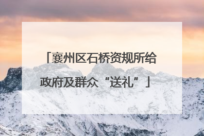襄州区石桥资规所给政府及群众“送礼”