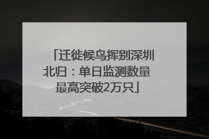 迁徙候鸟挥别深圳北归:单日监测数量最高突破2万只