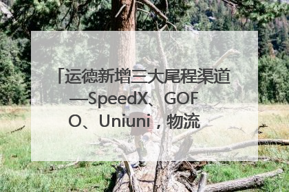 运德新增三大尾程渠道—SpeedX、GOFO、Uniuni，物流效率跃升50%！