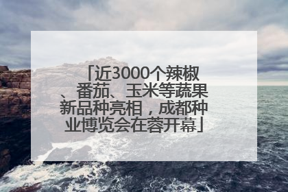 近3000个辣椒、番茄、玉米等蔬果新品种亮相，成都种业博览会在蓉开幕