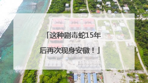 这种剧毒蛇15年后再次现身安徽！