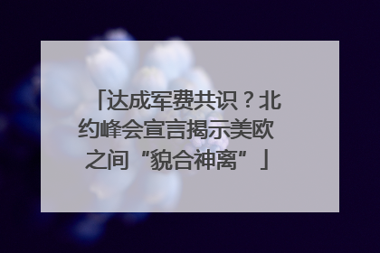达成军费共识？北约峰会宣言揭示美欧之间“貌合神离”