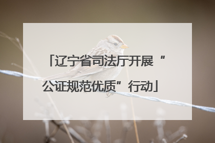 辽宁省司法厅开展“公证规范优质”行动