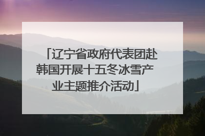 辽宁省政府代表团赴韩国开展十五冬冰雪产业主题推介活动