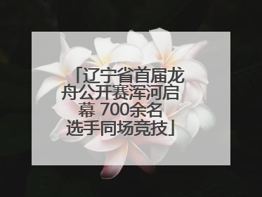 辽宁省首届龙舟公开赛浑河启幕 700余名选手同场竞技