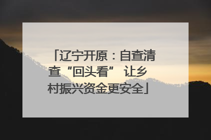 辽宁开原：自查清查“回头看” 让乡村振兴资金更安全