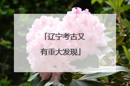 辽宁考古又有重大发现