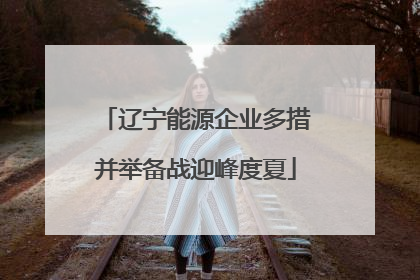 辽宁能源企业多措并举备战迎峰度夏