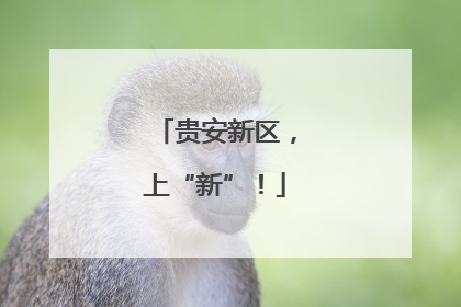 贵安新区，上“新”！