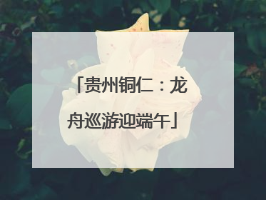 贵州铜仁：龙舟巡游迎端午