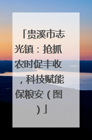 贵溪市志光镇：抢抓农时促丰收，科技赋能保粮安（图）