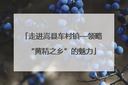 走进嵩县车村镇—领略“黄精之乡”的魅力
