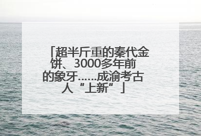 超半斤重的秦代金饼、3000多年前的象牙……成渝考古人“上新”