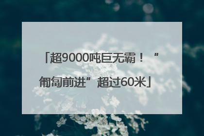 超9000吨巨无霸！“匍匐前进”超过60米