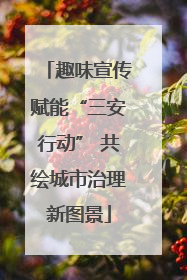 趣味宣传赋能“三安行动” 共绘城市治理新图景