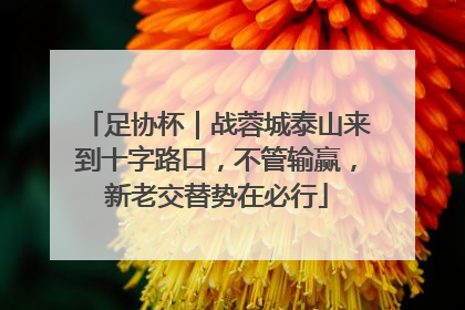 足协杯｜战蓉城泰山来到十字路口，不管输赢，新老交替势在必行