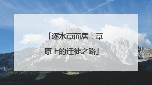 逐水草而居：草原上的迁徙之路