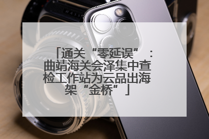 通关“零延误”：曲靖海关会泽集中查检工作站为云品出海架“金桥”