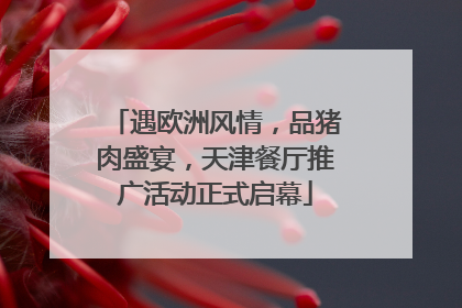 遇欧洲风情，品猪肉盛宴，天津餐厅推广活动正式启幕