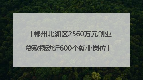郴州北湖区2560万元创业贷款撬动近600个就业岗位