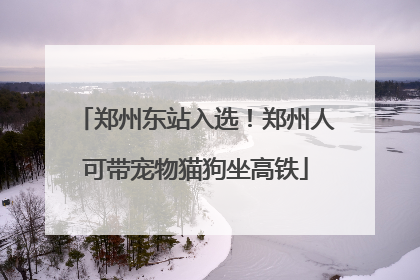 郑州东站入选！郑州人可带宠物猫狗坐高铁