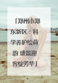 郑州市郑东新区：科学养护绘荷韵 盛景迎客绽芳华