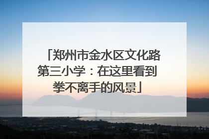 郑州市金水区文化路第三小学：在这里看到拳不离手的风景
