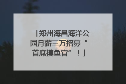 郑州海昌海洋公园月薪三万招募“首席摸鱼官”！