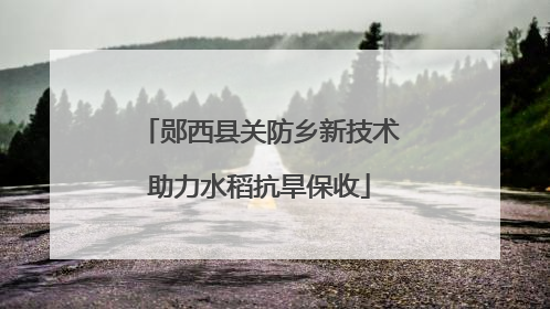 郧西县关防乡新技术助力水稻抗旱保收
