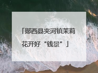 郧西县夹河镇茉莉花开好“钱景”