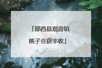 郧西县观音镇桃子喜获丰收