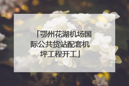 鄂州花湖机场国际公共货站配套机坪工程开工