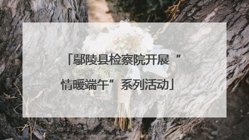鄢陵县检察院开展“情暖端午”系列活动