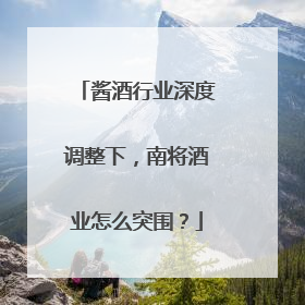 酱酒行业深度调整下，南将酒业怎么突围？