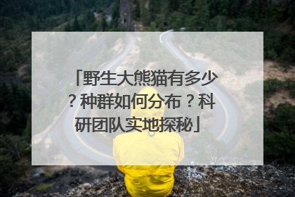 野生大熊猫有多少？种群如何分布？科研团队实地探秘