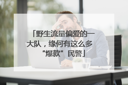 野生流量偏爱的一大队，缘何有这么多“爆款”民警