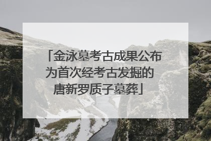 金泳墓考古成果公布 为首次经考古发掘的唐新罗质子墓葬