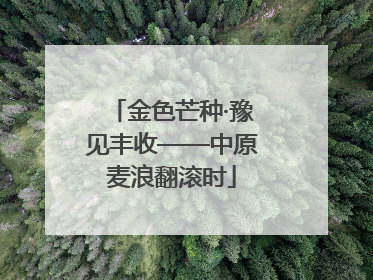 金色芒种·豫见丰收——中原麦浪翻滚时