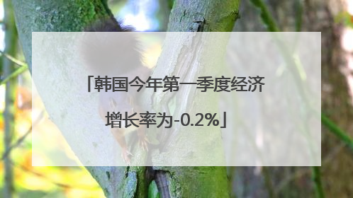 韩国今年第一季度经济增长率为-0.2%