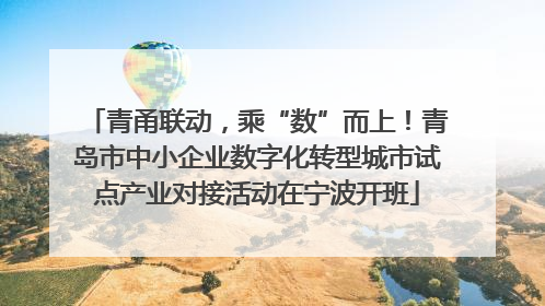 青甬联动，乘“数”而上！青岛市中小企业数字化转型城市试点产业对接活动在宁波开班