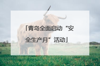 青岛全面启动“安全生产月”活动
