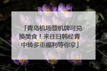 青岛机场登机牌可兑换美食！来往日韩经青中转多重福利等你拿