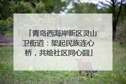 青岛西海岸新区灵山卫街道：架起民族连心桥，共绘社区同心圆